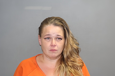 Mugshot of Cari L Wilson