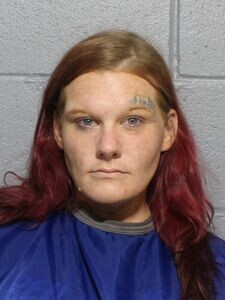 Mugshot of JENNIE J ANDRUK
