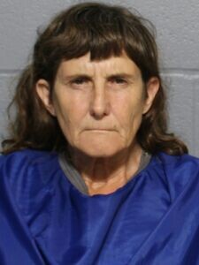 Mugshot of LISA M KILGORE