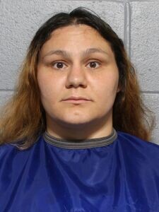 Mugshot of AUBREY L SMILOWITZ