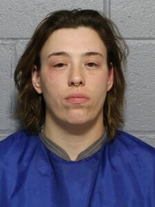 Mugshot of BRANDIE V STEGALL