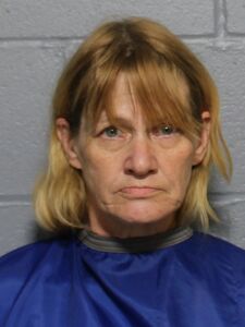Mugshot of ANITA M NELSON