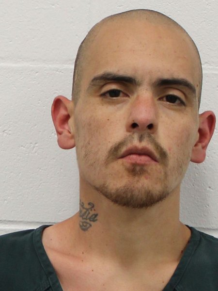 Mugshot of HERNAN FLORES
