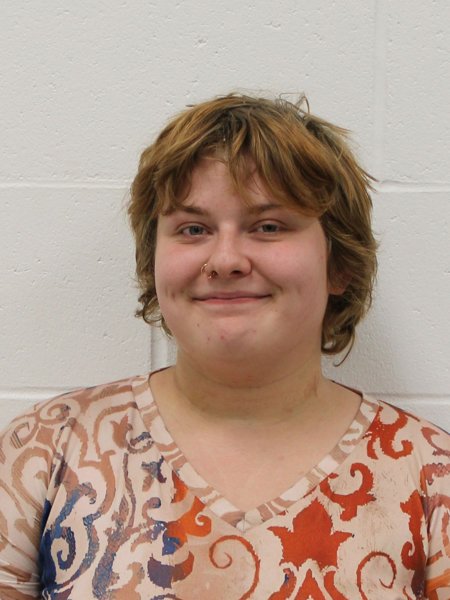 Mugshot of LANGE DEVIN