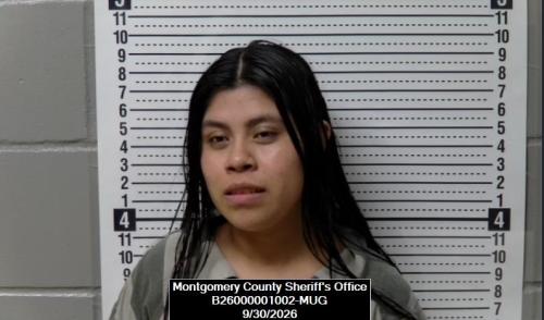 Mugshot of Ana Francisco
