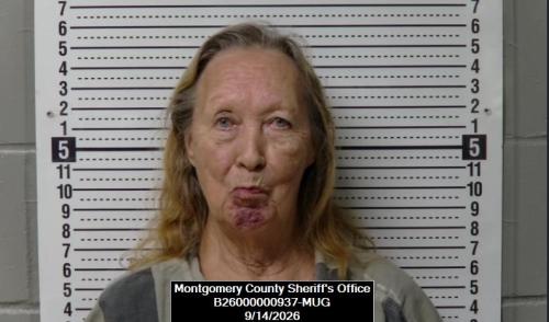 Mugshot of Diana Carman Bishop