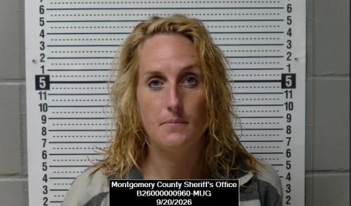 Mugshot of Sarralyn Brooke Pittman