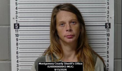 Mugshot of Christy Renee Rhotenberry