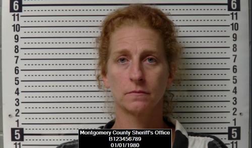 Mugshot of Holly Ann Welker