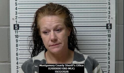 Mugshot of Sara Joellen Gorby