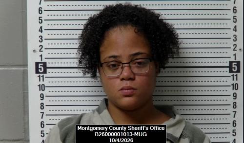 Mugshot of Iesha Ann Lornes