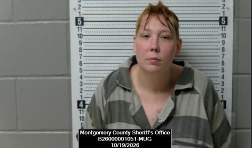 Mugshot of Andrea Sky Barnes