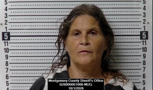 Mugshot of Denise Lynne Readel