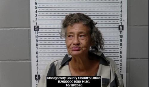 Mugshot of Joan Rene Robertson