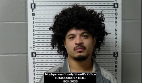 Mugshot of Luis Alberto Jr. Portillo