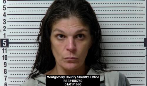 Mugshot of April Dawn Graham
