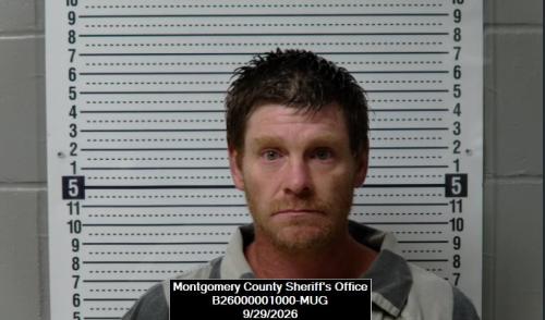 Mugshot of Dennis Lee Meer