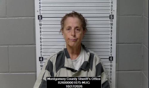 Mugshot of Chere Lynn Parker