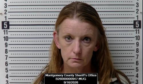 Mugshot of Petrina Lourine Snider