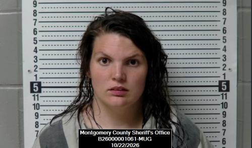 Mugshot of Emily Grace Needs