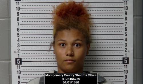 Mugshot of Ty’tianna Jene Robinson