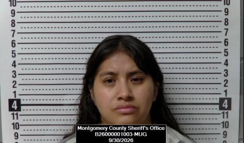 Mugshot of Maria Victoria Francisco Jimenez