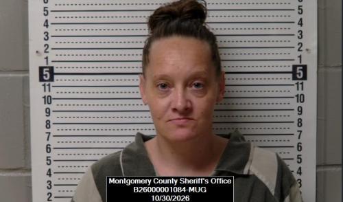 Mugshot of Rae Lynn Rash