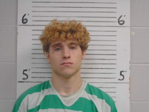 Mugshot of Auron John Lee Hoskins