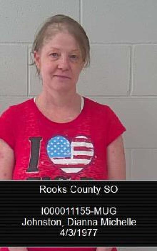 Mugshot of Dianna Michelle Johnston