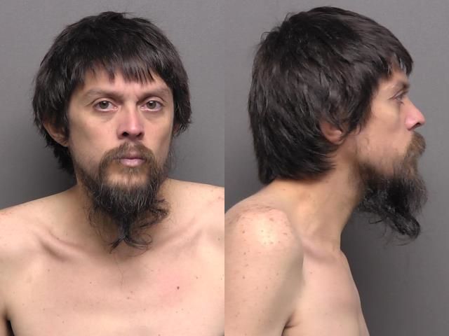 Mugshot of Aldo Hedren Steffen