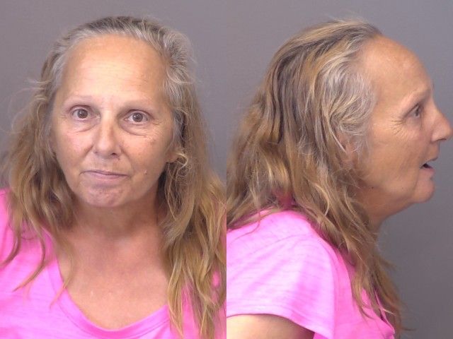 Mugshot of Michelle Renee Rutz