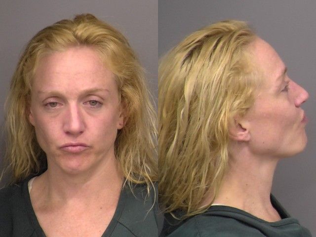 Mugshot of Jaimie Lynne Schnell