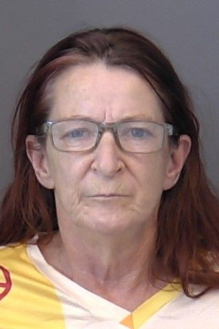 Mugshot of Brenda Alice Freilinger