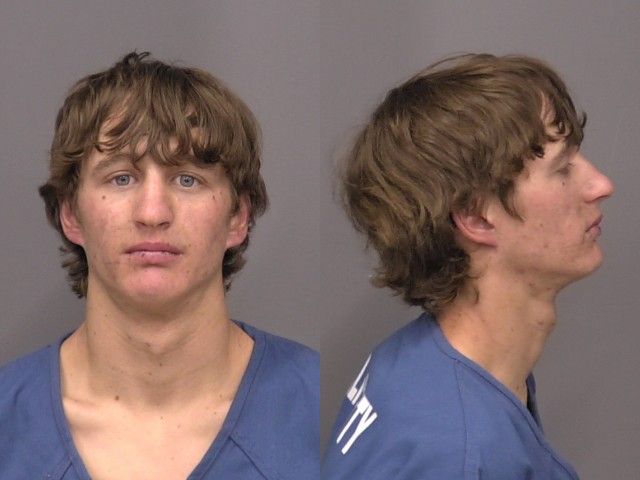 Mugshot of Alexander Lee Lane