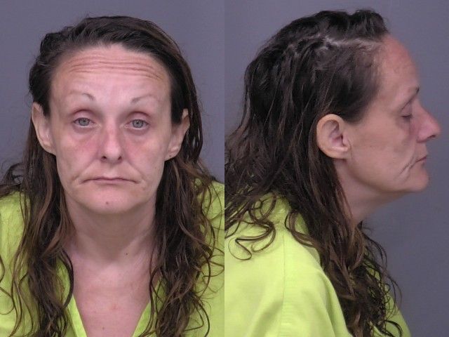 Mugshot of Nicole Lynn Hoffschneider
