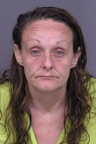 Mugshot of Nicole Lynn Hoffschneider