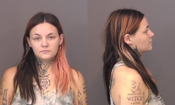 Mugshot of Destiny Jasmine Williams