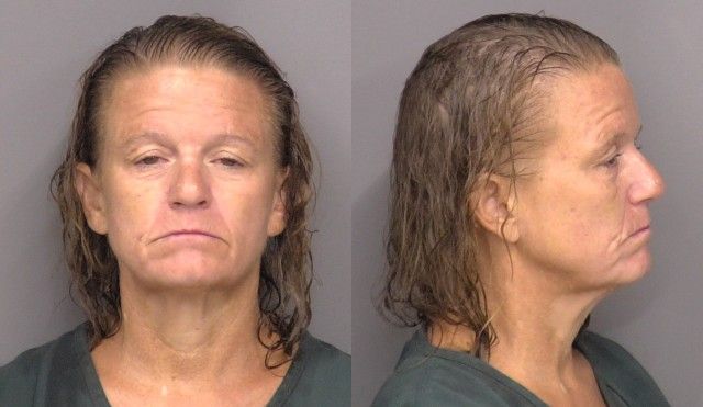 Mugshot of Michelle Lynn Peterson