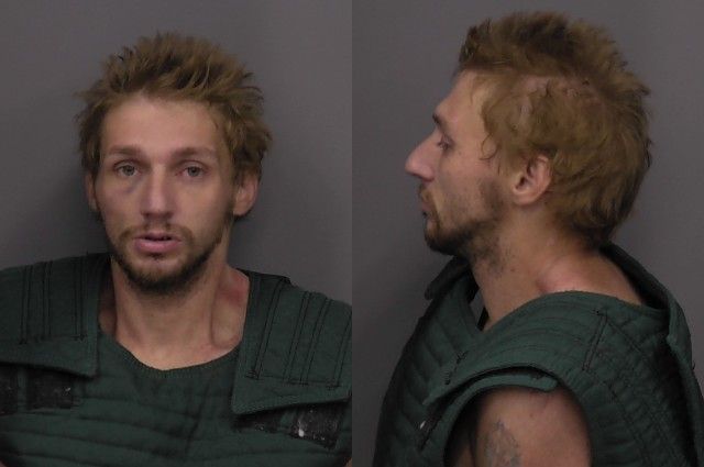 Mugshot of Trevor Leon Dennis