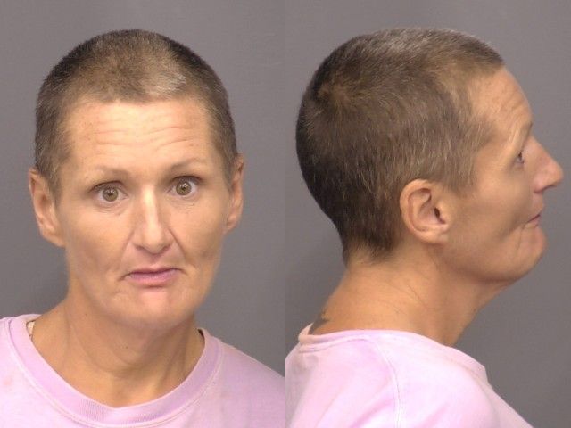 Mugshot of Alisha Nicole Bryk