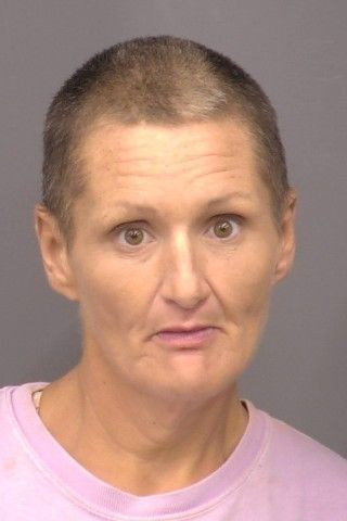 Mugshot of Alisha Nicole Bryk
