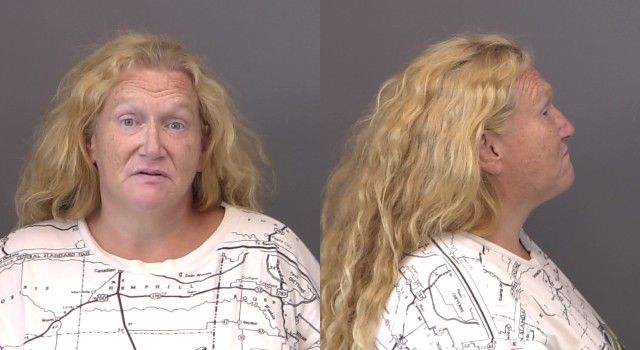 Mugshot of DeeDee Louise Purcella