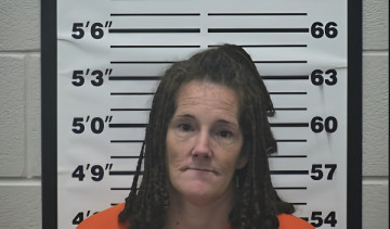 Mugshot of Linsey Ann Collins