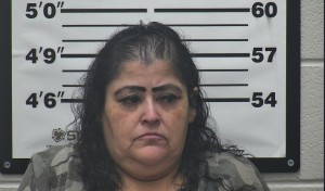 Mugshot of Cynthia G Romero