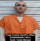 Mugshot of Tristin Scott