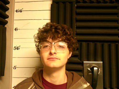 Mugshot of Robert Odell Farmer
