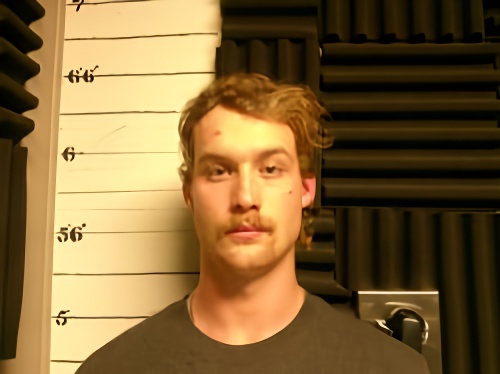 Mugshot of Devin Ray Record