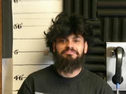 Mugshot of Christian Danea Dubon Sanchez