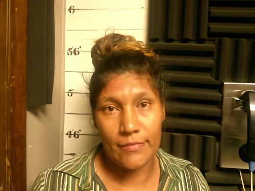 Mugshot of Jessica Yoselin Mendoza-Rodriguez