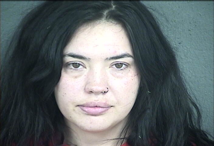 Mugshot of VANESSA MICHELLE ANDERSON